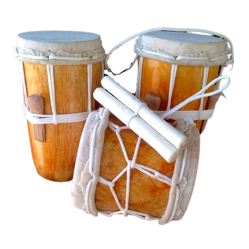 Instrumentos Típicos